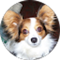 Profile photo of Sherill Thatcher