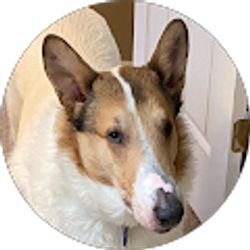 Profile photo of Don Wood