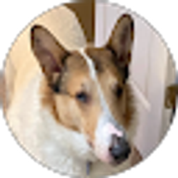 Profile photo of Don Wood