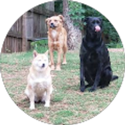 Profile photo of Justin Dues