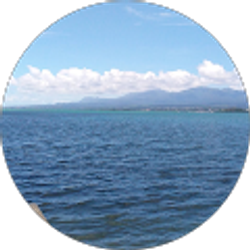 Profile photo of Carl Marsolle