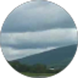 Profile photo of Yuk Ling Lam