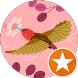 Profile photo of Ana Macias