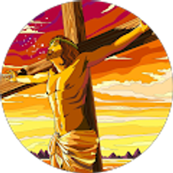 Profile photo of Steve M.