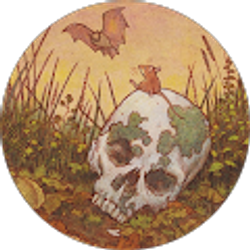 Profile photo of Madisen Is thinking