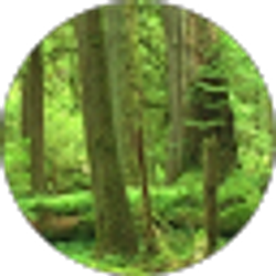 Profile photo of Kevin Shidner