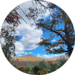 Profile photo of Yell Mo