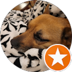 Profile photo of Navy Gal