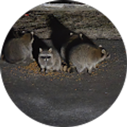 Profile photo of Leigh Ann Beck