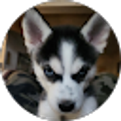 Profile photo of Christopher Raymond