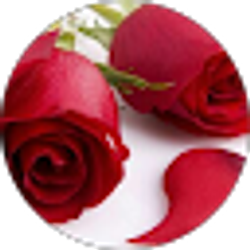 Profile photo of Yarelie Alatriste