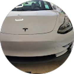 Profile photo of Mike Sparacino