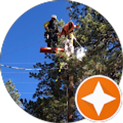 Profile photo of Steve McKinney