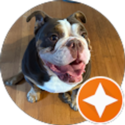 Profile photo of Sidney Lei