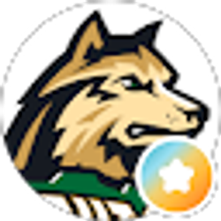 Profile photo of Raider07