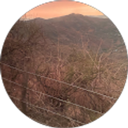 Profile photo of Maria Vazquez