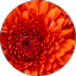 Profile photo of Crystal Pape