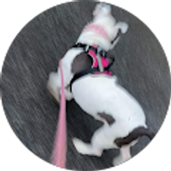 Profile photo of PiliG