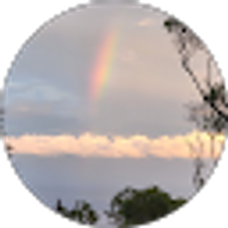 Profile photo of M K
