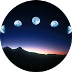 Profile photo of Sydney Bachelor