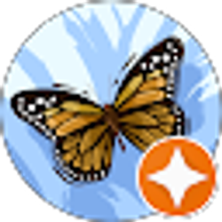 Profile photo of Amy Stultz