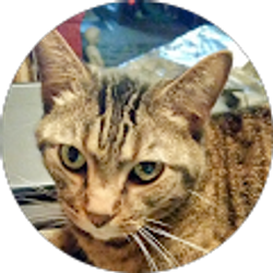 Profile photo of Sandra Gibson