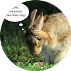 Profile photo of Layne Pemberton