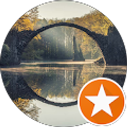 Profile photo of D Torres