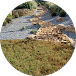 Profile photo of Celio Reyes