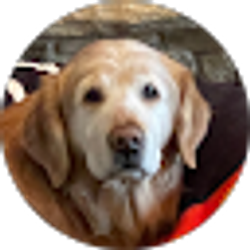 Profile photo of Jim Stavola