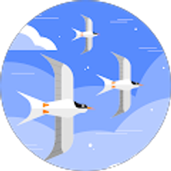 Profile photo of Nikolas Nguyen