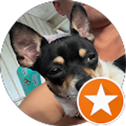 Profile photo of Ej Stills