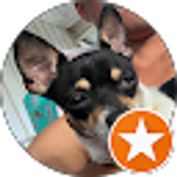 Profile photo of Ej Stills