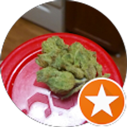 Profile photo of Haigh Jamgochian