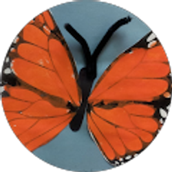 Profile photo of Raising the Bar Proctor