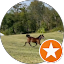 Profile photo of Bonnie Mattingly