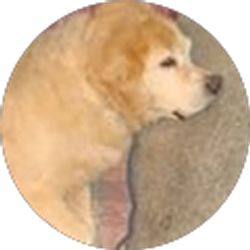 Profile photo of Janet Stevens