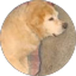 Profile photo of Janet Stevens