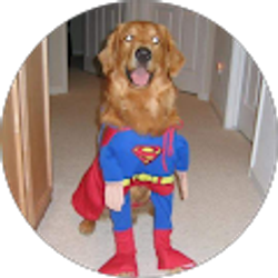 Profile photo of Shawn Mitchell