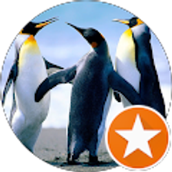 Profile photo of Ashley clark