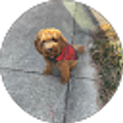 Profile photo of Dottie Conover