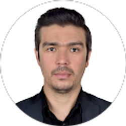 Profile photo of Javeed Salimi