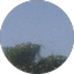 Profile photo of Robin Hollingsworth