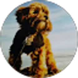 Profile photo of Paul Masenheimer