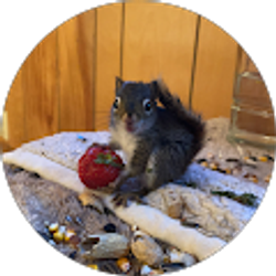 Profile photo of Maddie Huffstutler