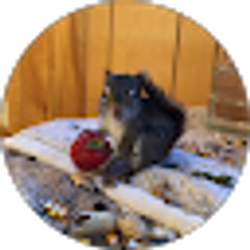 Profile photo of Maddie Huffstutler