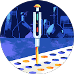 Profile photo of Katie Johnson