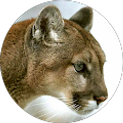 Profile photo of Rachel Erin