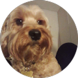 Profile photo of Ashley C