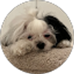 Profile photo of Jose Avendano